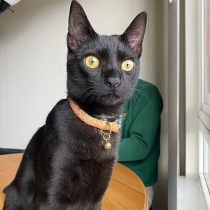 Meet your Posher, Sergio